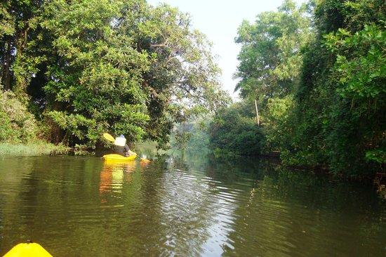 Goa Kayaking - Day Tours