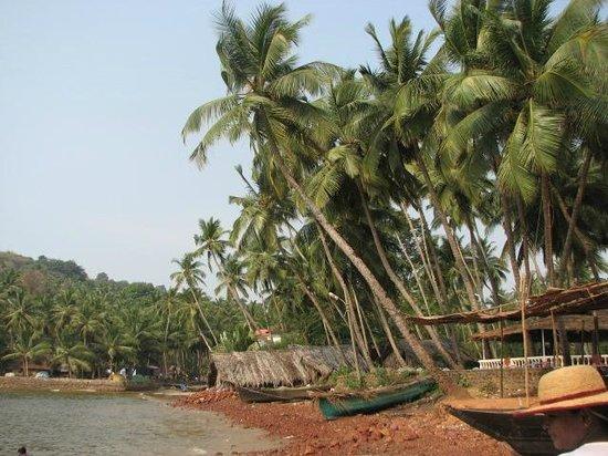Hollant Beach