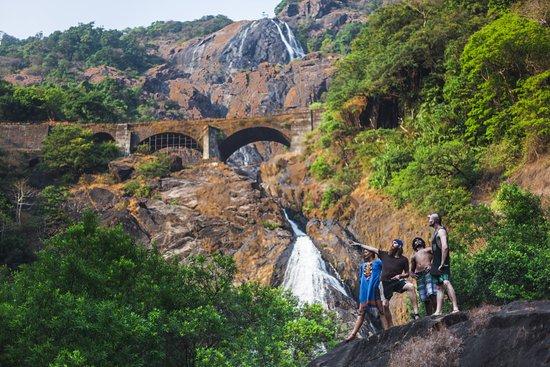 Hathi Tours