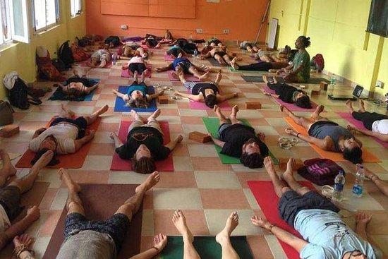 Mantra Yogi
